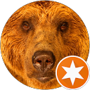 Roberto M. profile picture